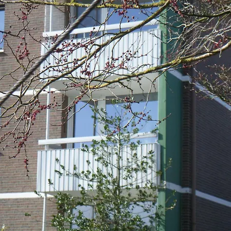 Nordseemuschel *